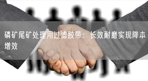 磷矿尾矿处理用过滤胶带：长效耐磨实现降本增效