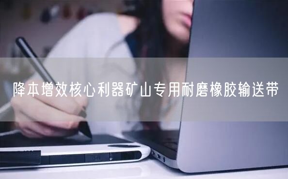 降本增效核心利器矿山专用耐磨橡胶输送带