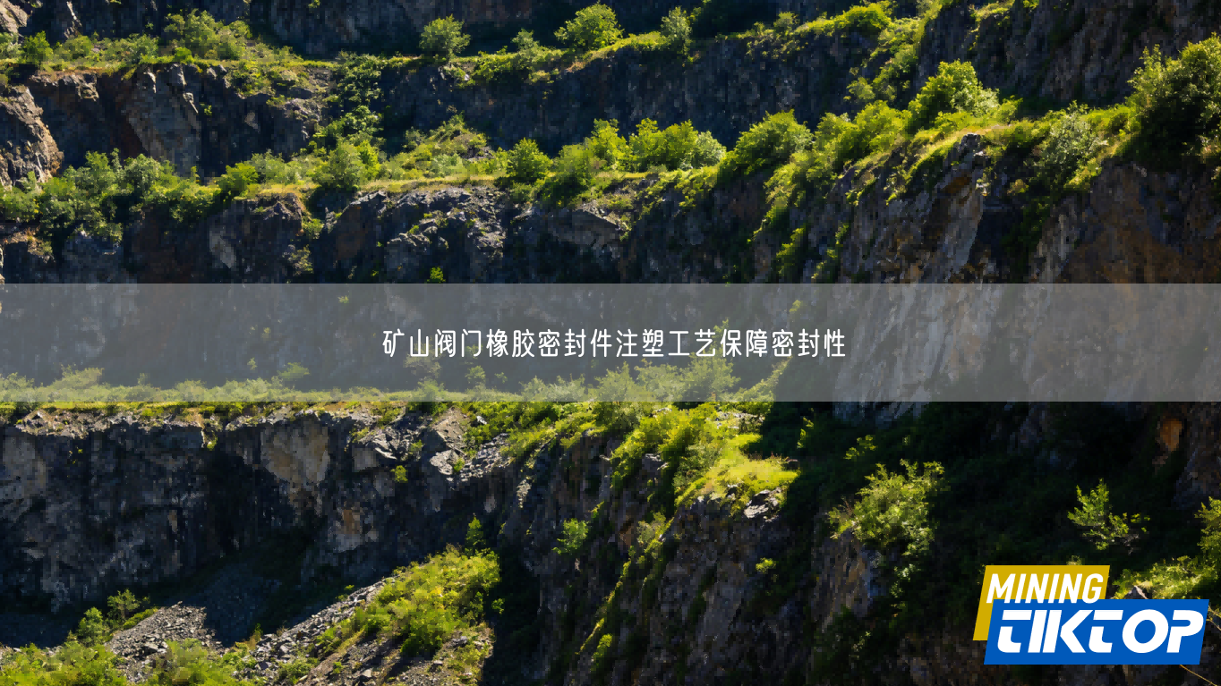 矿山阀门橡胶密封件注塑工艺保障密封性